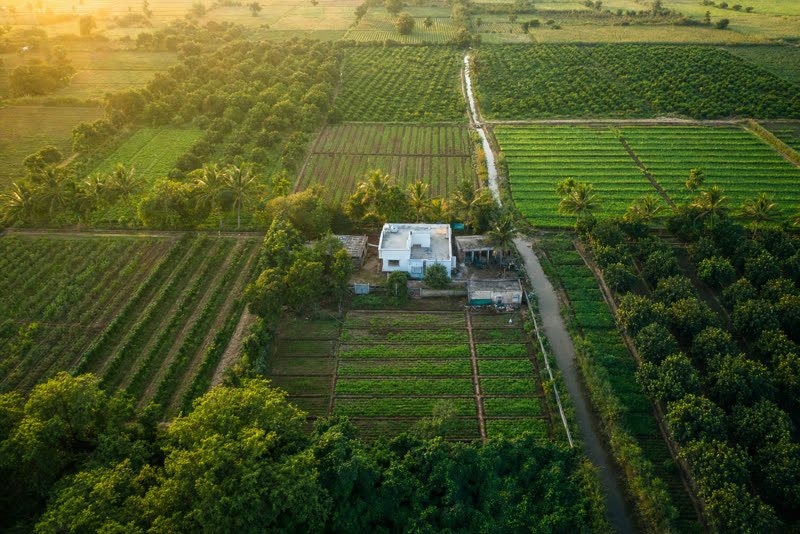 Farmland